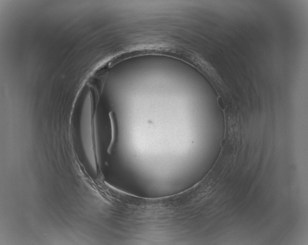X0000055210628200508301322.png