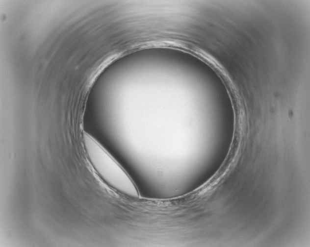 X0000054230809200508171509.png