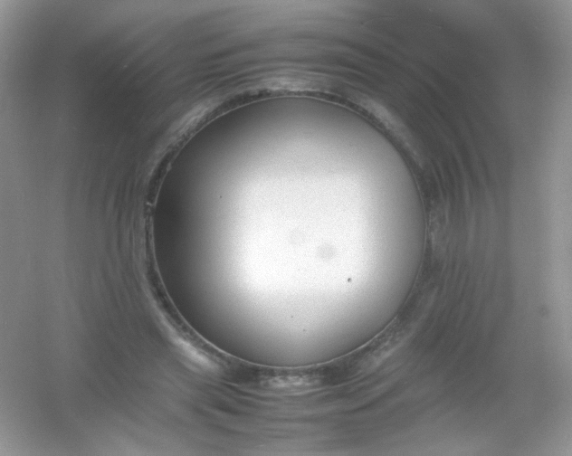 X0000054330445200508111923.png