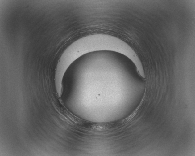 X0000055250174200509071625.png