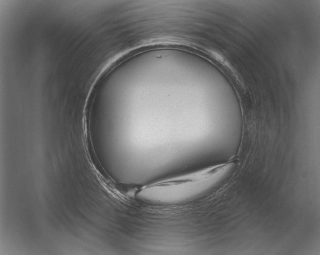 X0000055251372200509071604.png