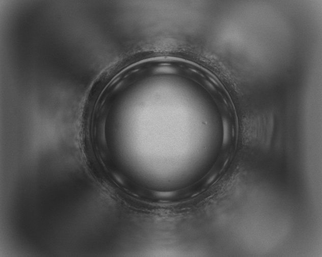 X0000047470392200503091604.png