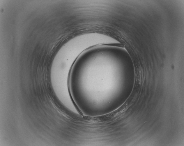 X0000054650412200508091647.png