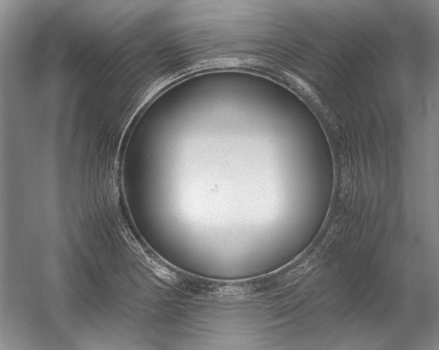 X0000055061178200508161638.png