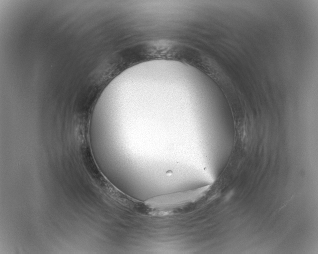 X0000054330602200508111921.png