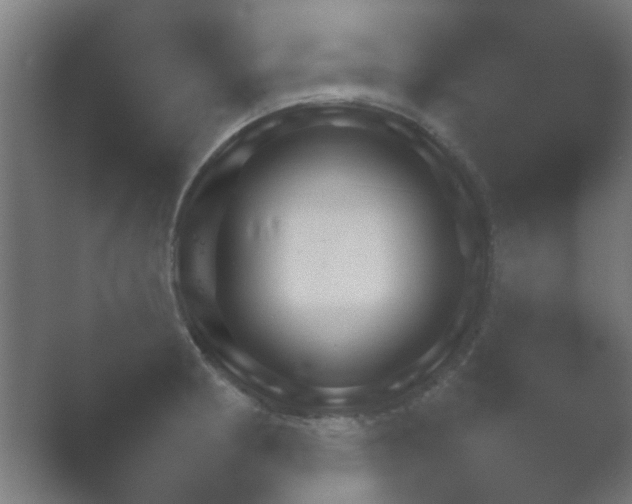 X0000054111186200508022051.png
