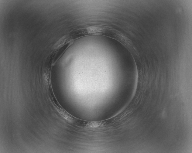 X0000055210329200508301328.png
