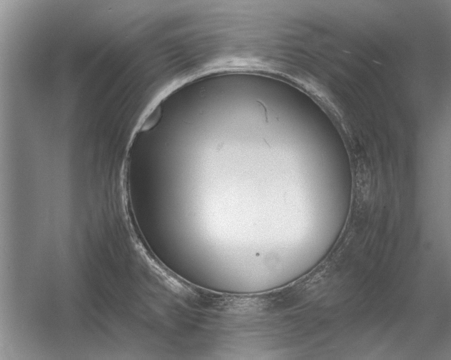 X0000055061382200508161634.png