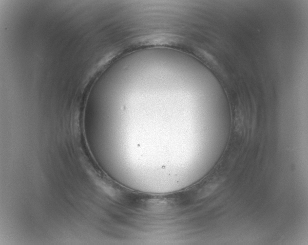 X0000054330394200508111924.png
