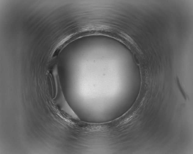 X0000055210826200508301319.png