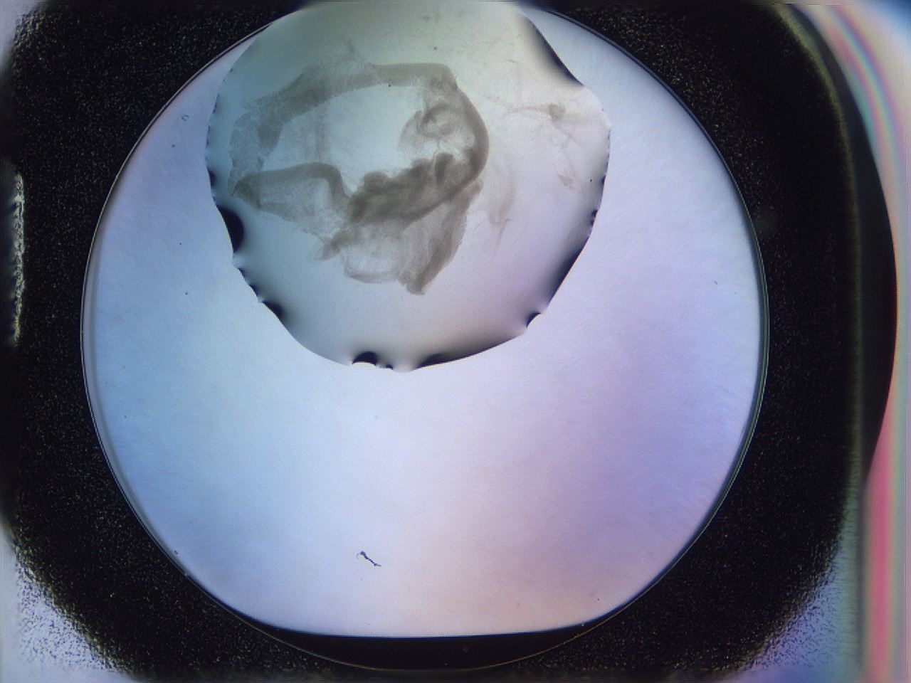 056j_H4_ImagerDefaults_3.jpg