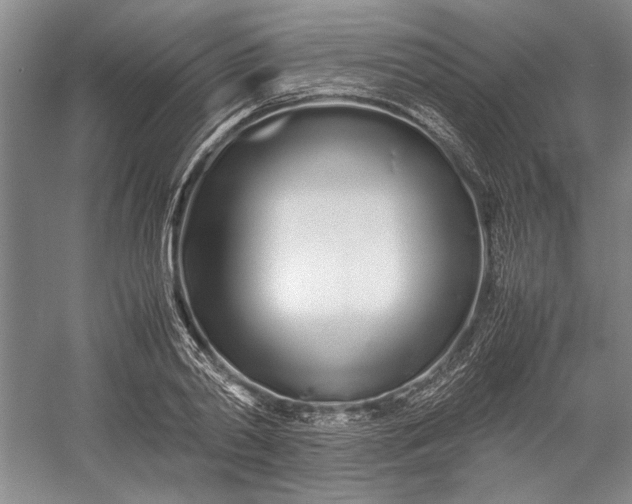 X0000055060790200508161644.png