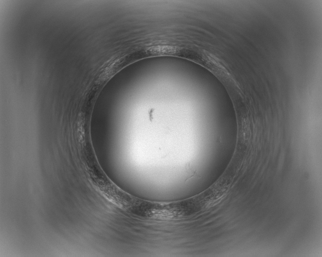 X0000055060259200508161653.png