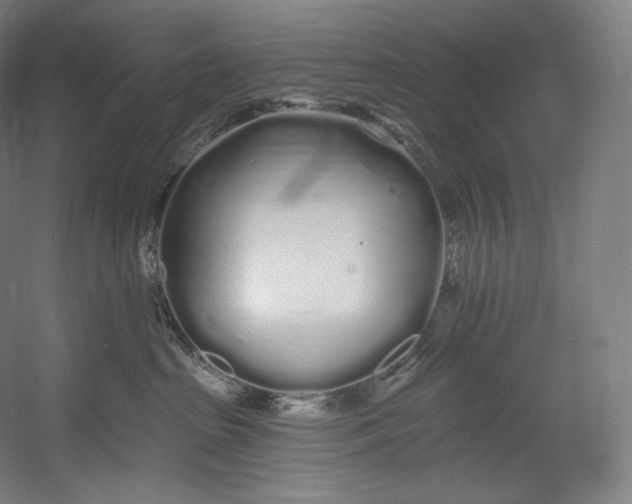 X0000055210285200508301330.png
