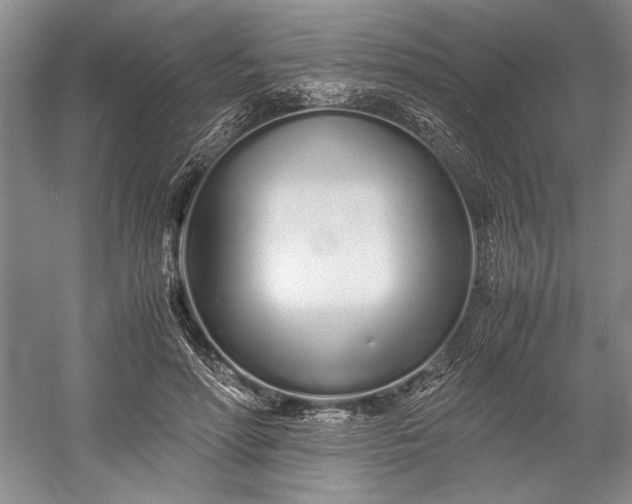 X0000055060598200508161648.png