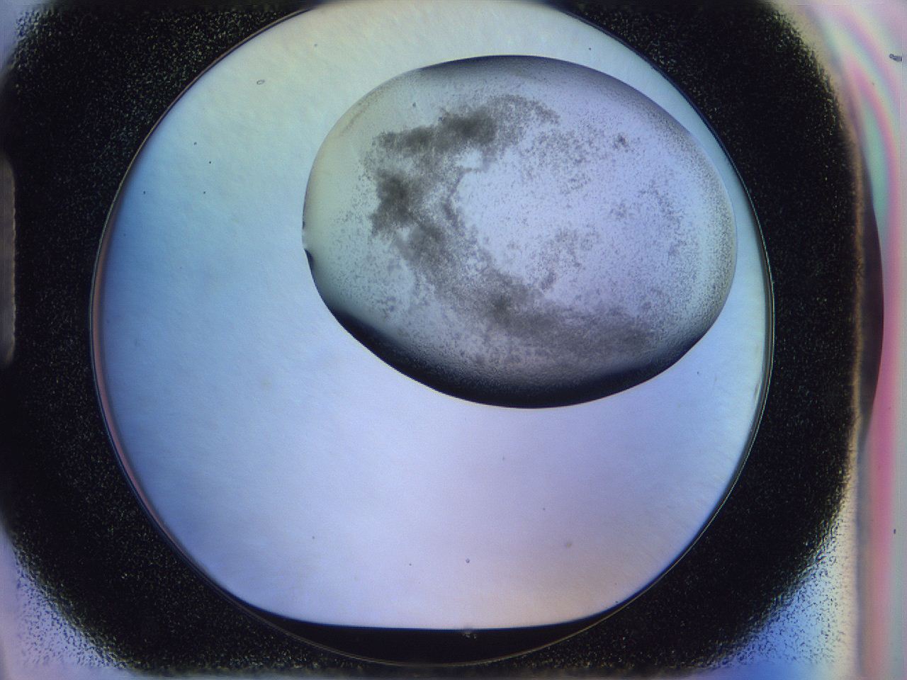 056j_H9_ImagerDefaults_3.jpg