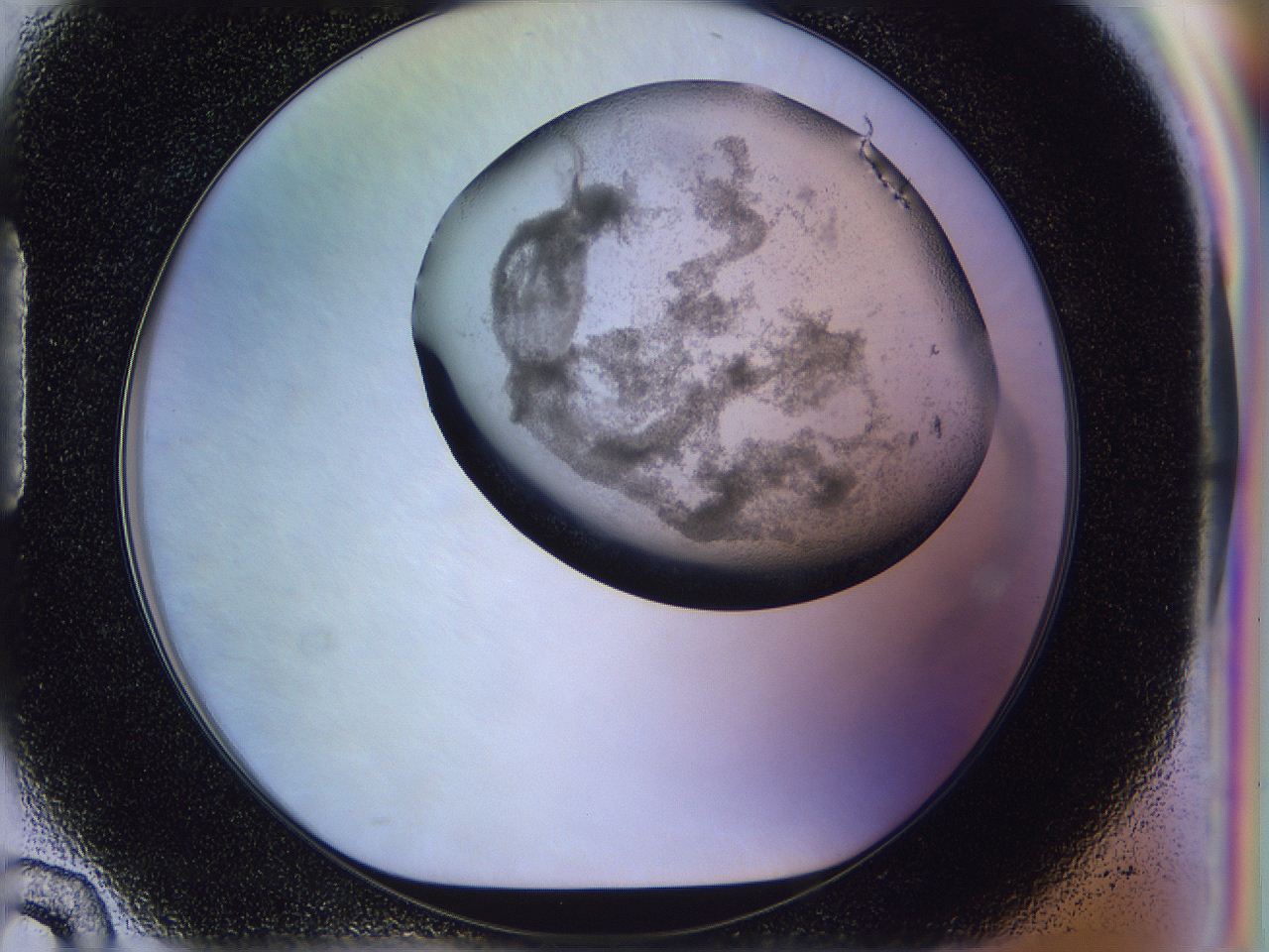 056j_H10_ImagerDefaults_3.jpg