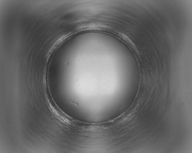 X0000055210938200508301318.png