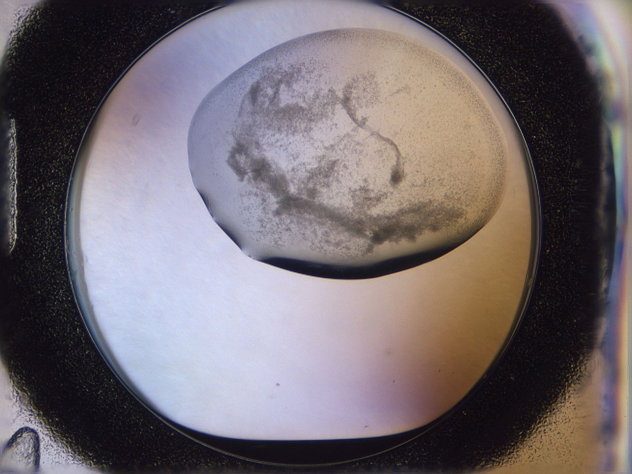 056j_H11_ImagerDefaults_3.jpg
