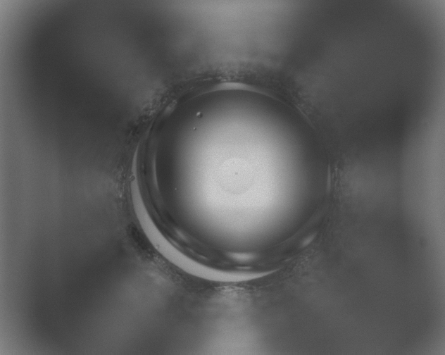 X0000054930750200508291631.png