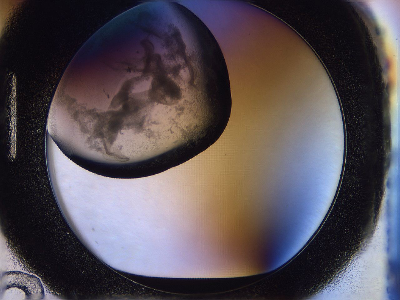 056j_H12_ImagerDefaults_3.jpg