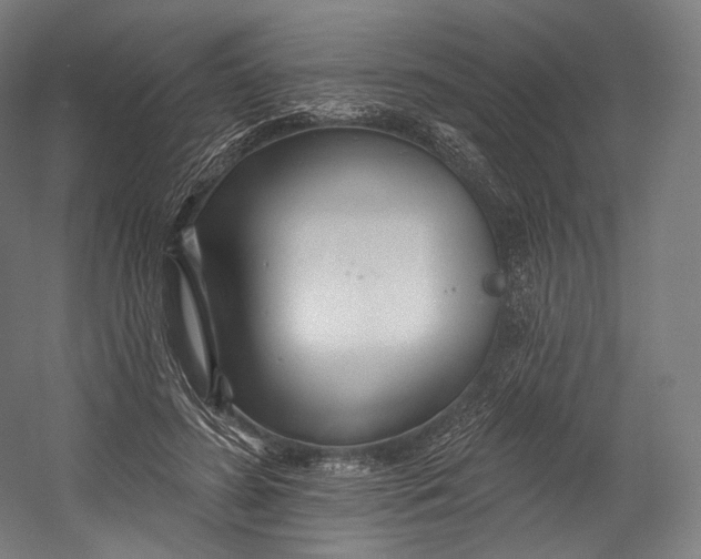 X0000055210596200508301324.png