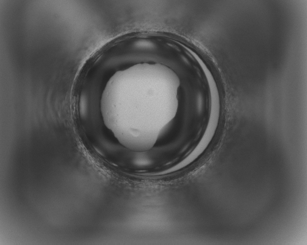 X0000038920981200409291001.png