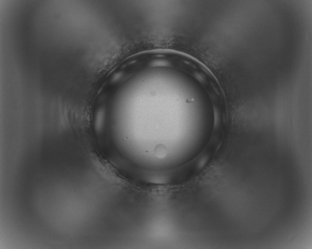 X0000040560088200411021439.png