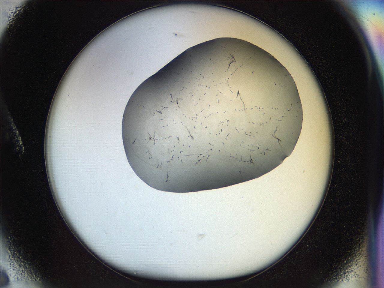 056k_A6_ImagerDefaults_6.jpg
