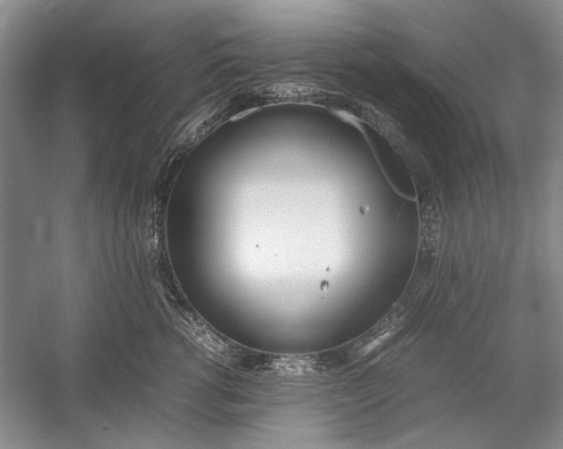 X0000055060762200508161645.png