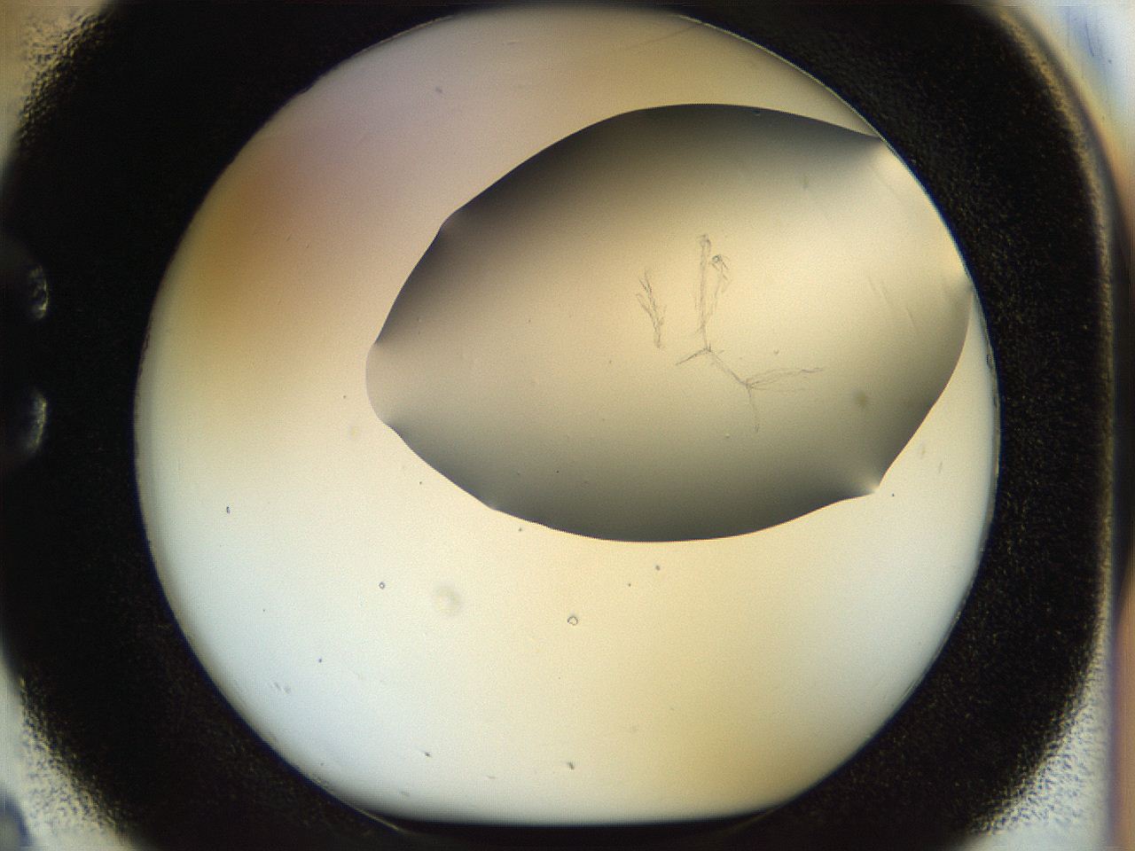056k_C2_ImagerDefaults_6.jpg
