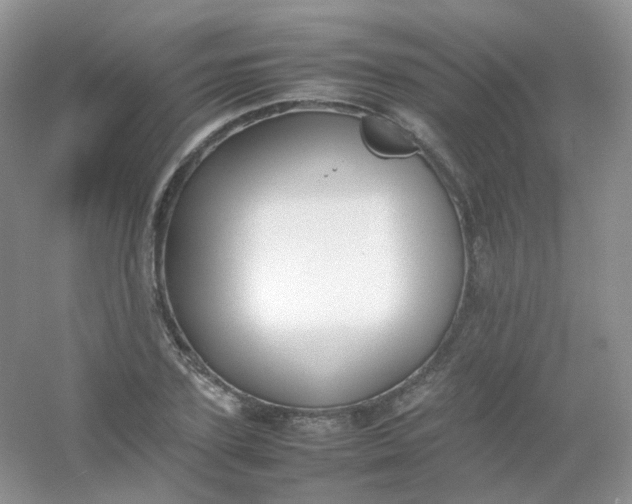 X0000054330931200508111915.png