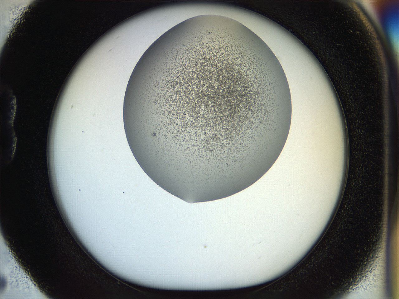 056k_B5_ImagerDefaults_3.jpg