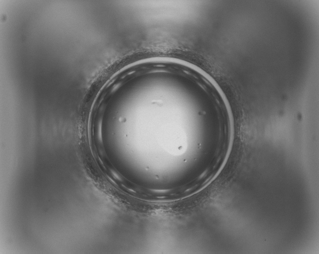 X0000052120544200507262054.png