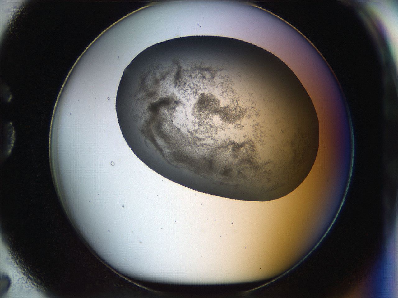 056k_G7_ImagerDefaults_3.jpg