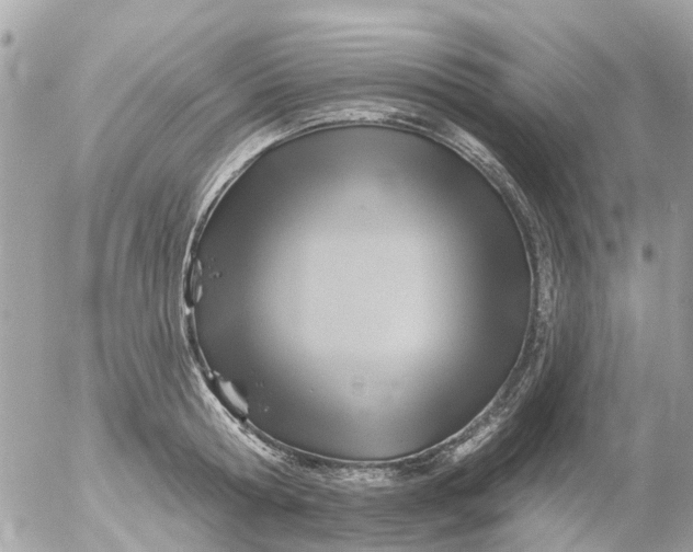 X0000055070802200508232327.png