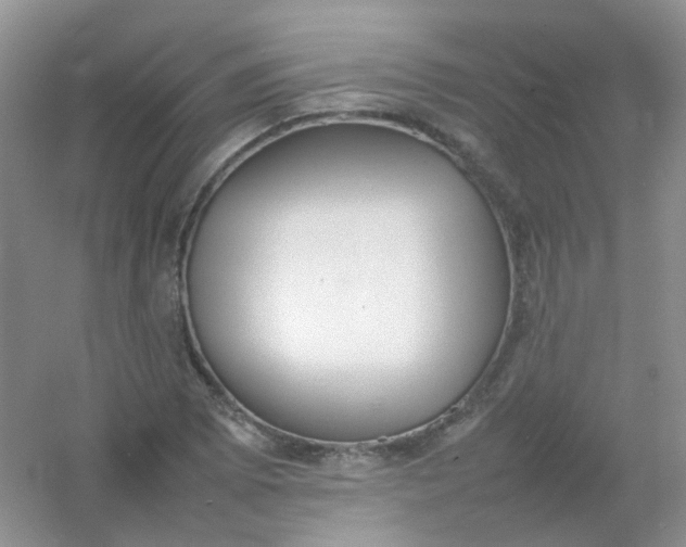 X0000054331073200508111913.png