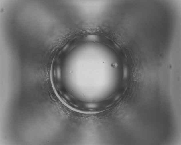 X0000052121298200507262041.png
