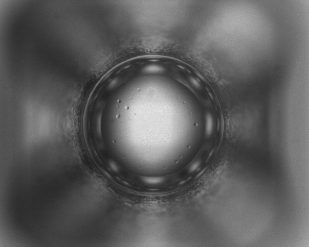 X0000045450454200502011701.png