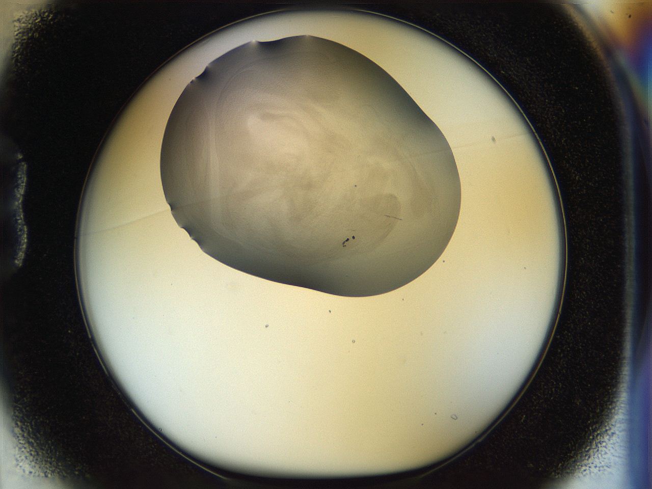 056k_B1_ImagerDefaults_2.jpg