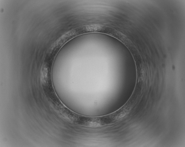 X0000054650308200508091648.png