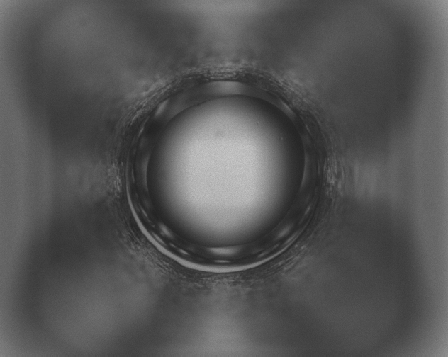 X0000040561252200411021419.png