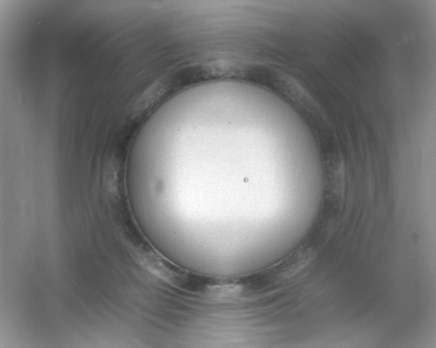 X0000054330266200508111927.png
