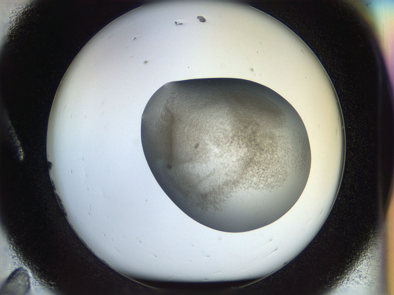 056k_A11_ImagerDefaults_3.jpg