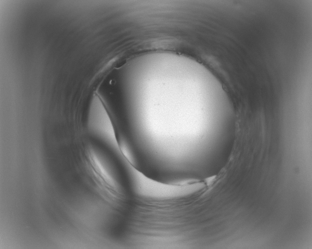 X0000054330154200508111928.png