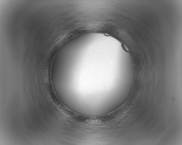 X0000054330689200508111919.png