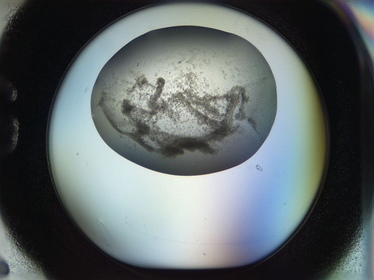 056k_G6_ImagerDefaults_3.jpg