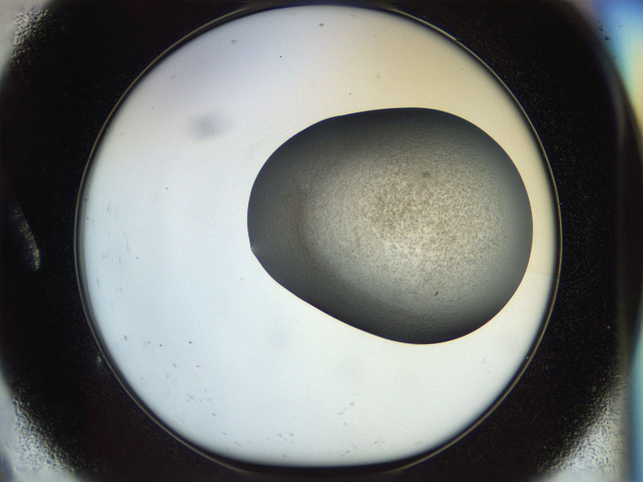 056k_A9_ImagerDefaults_3.jpg