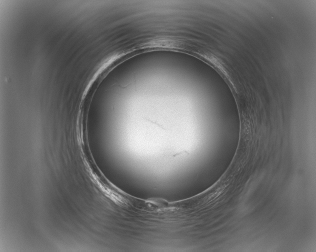 X0000055061131200508161639.png