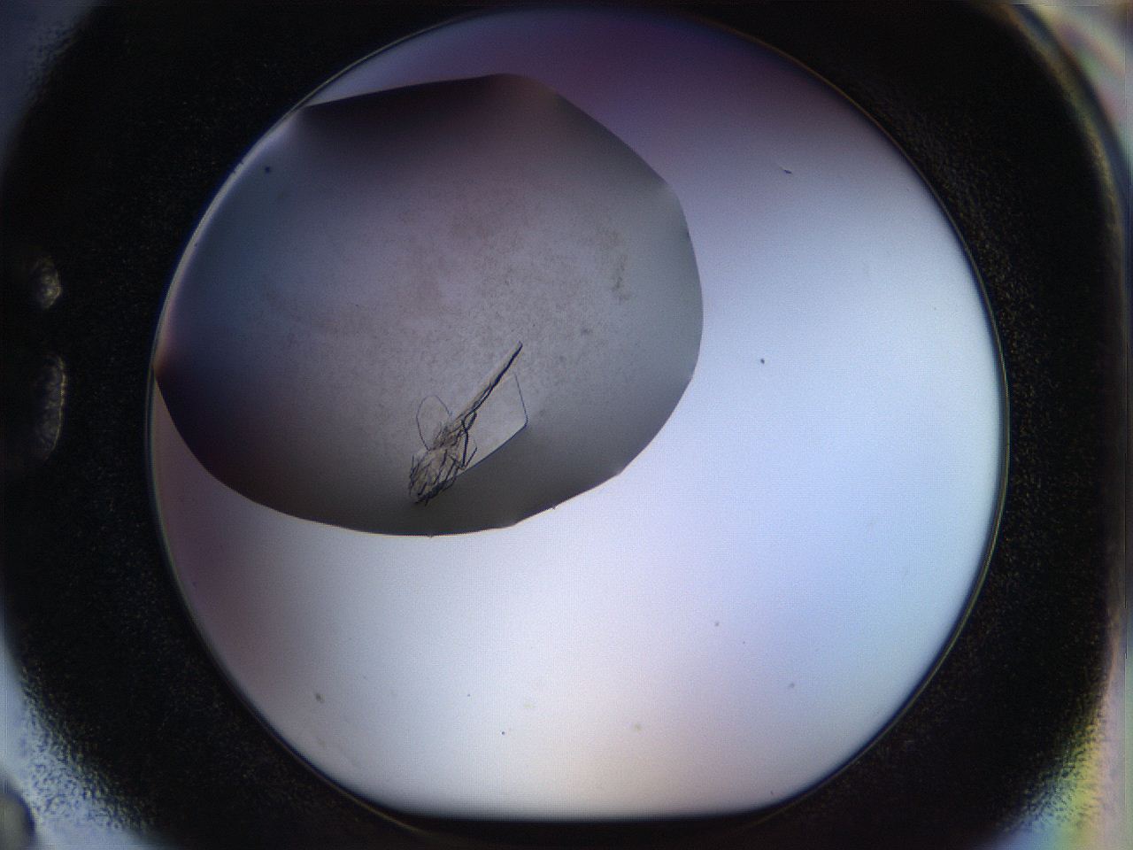 056k_G3_ImagerDefaults_8.jpg